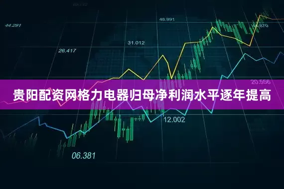 贵阳配资网格力电器归母净利润水平逐年提高