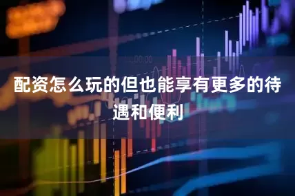配资怎么玩的但也能享有更多的待遇和便利