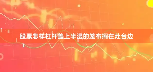 股票怎样杠杆盖上半湿的笼布搁在灶台边