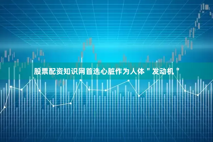 股票配资知识网首选心脏作为人体＂发动机＂