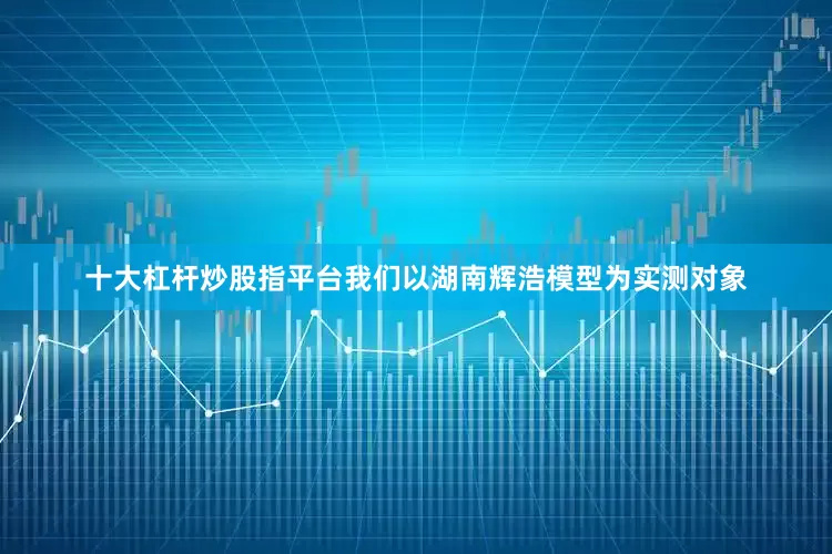 十大杠杆炒股指平台我们以湖南辉浩模型为实测对象
