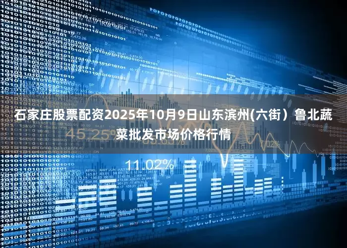 石家庄股票配资2025年10月9日山东滨州(六街）鲁北蔬菜批发市场价格行情
